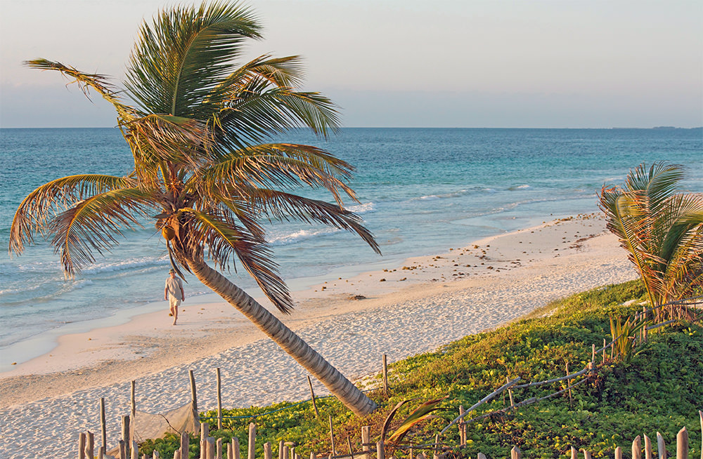 Plage de Tulum, Mexique, Péninsule du Yucatan