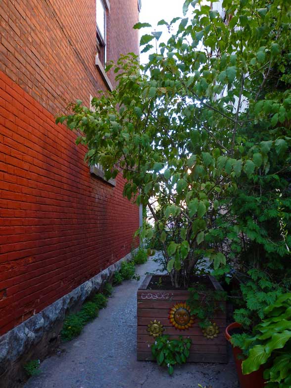 Ruelle Champetre Montreal