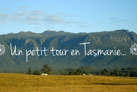 Paysage-Tasmanie