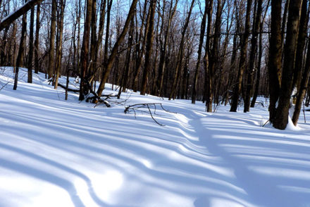 randonnee raquette neige montagne