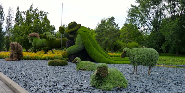 sculptures plantes