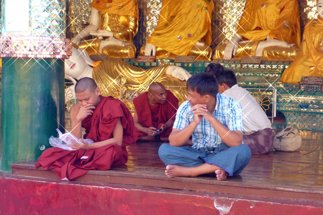 moine birmanie