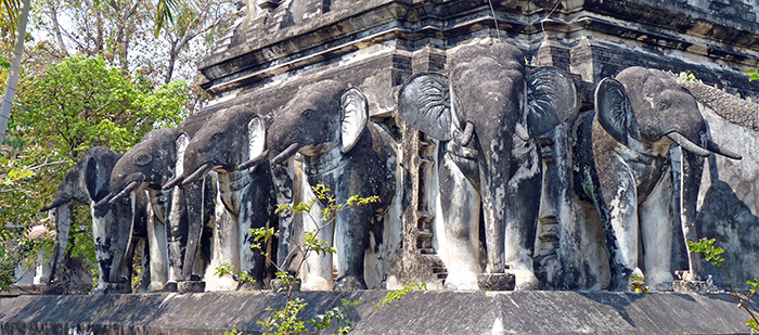 Elephant Temple Chiang Mai