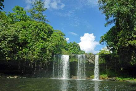 Plateau des Bolovens Laos