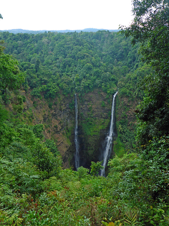 Plateau des Bolovens Laos