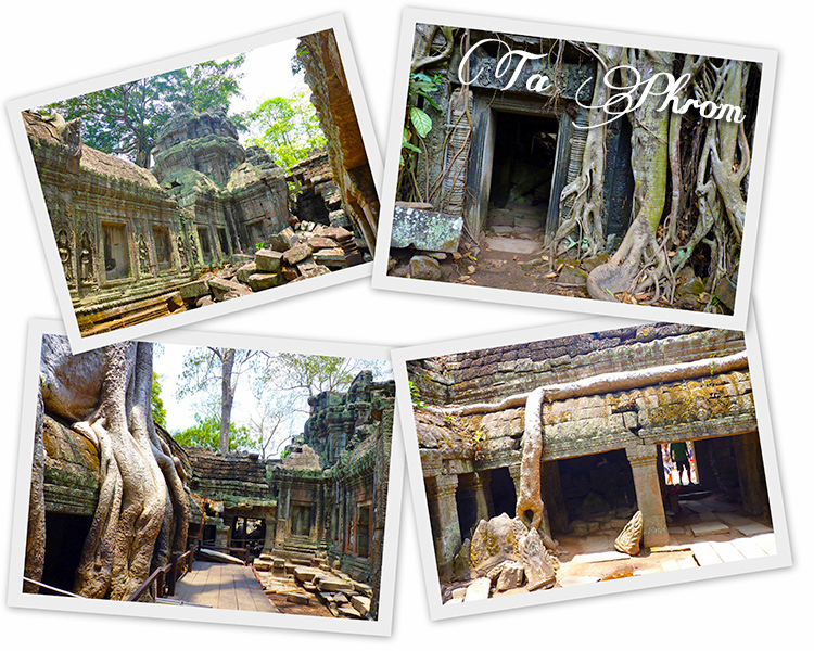 Angkor Ta Phrom