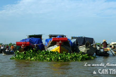 Les marchés flottants de Can Tho, Delta du Mékong, Vietnam