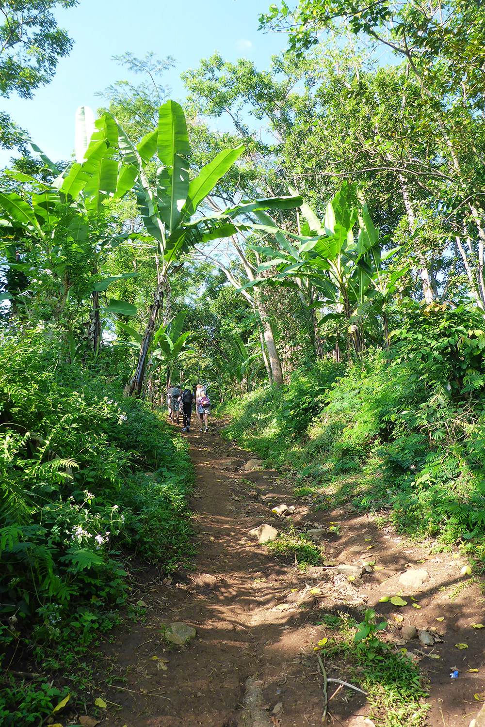 Trek au Mont Rinjani, Lombok, Indonésie