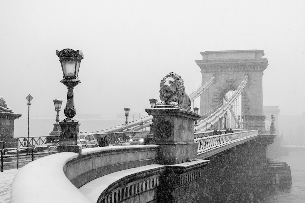 Lion Path Budapest @ Robin TOURNADRE