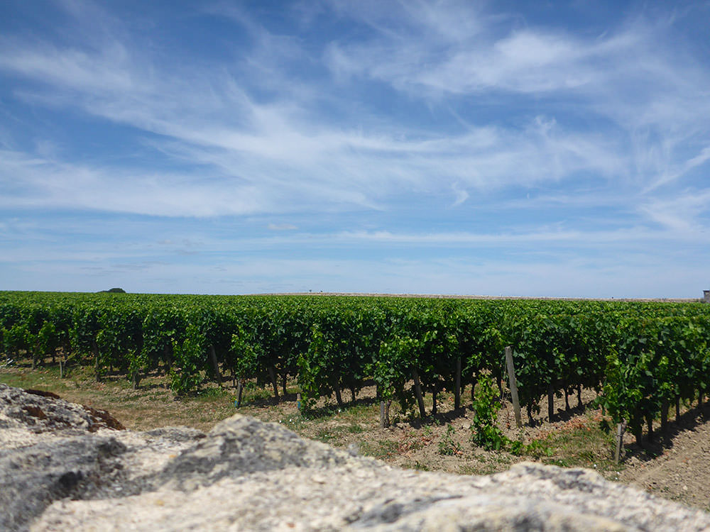 Découverte de Saint-Emilion, région de Bordeaux