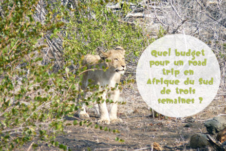 Budget Road Trip Afrique du Sud