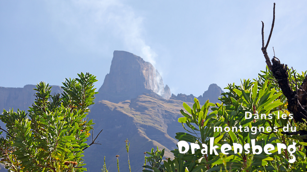 Le Drakenberg - Randonnée - Sentinel Trail