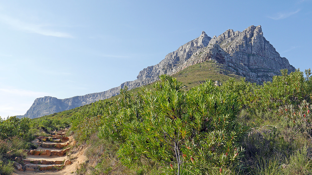 Table Mountain