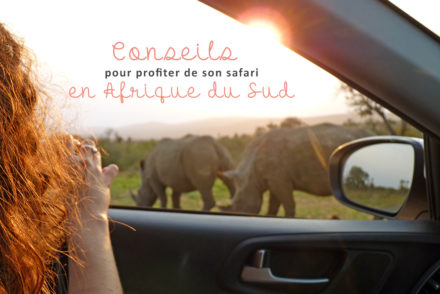 profiter de son safari en afrique du sud