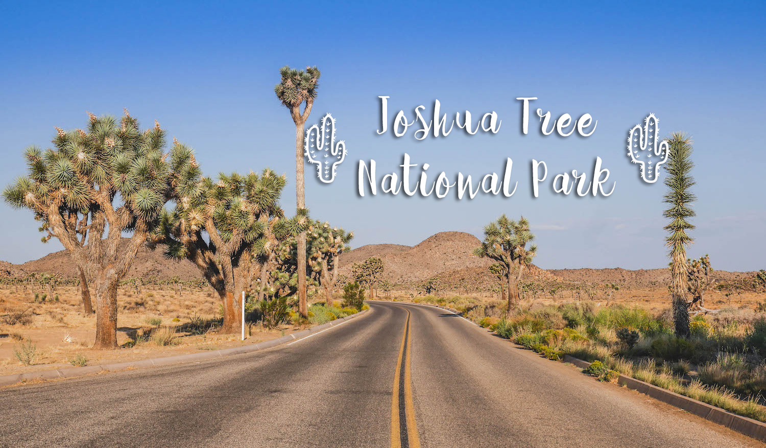 Road trip dans l'Ouest Américain : première étape : Joshua Tree National Park