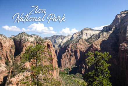 Découvrir Zion National Park pour faire la randonnée de l'Angles Landing Trail lors d'un road trip aux USA.