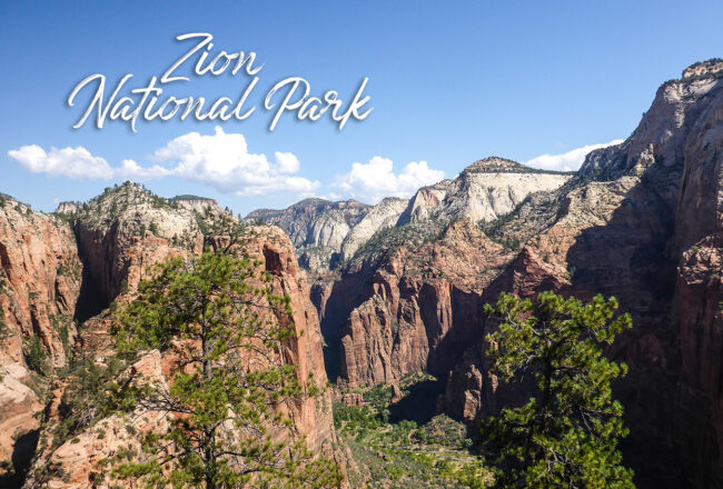 Découvrir Zion National Park pour faire la randonnée de l'Angles Landing Trail lors d'un road trip aux USA.