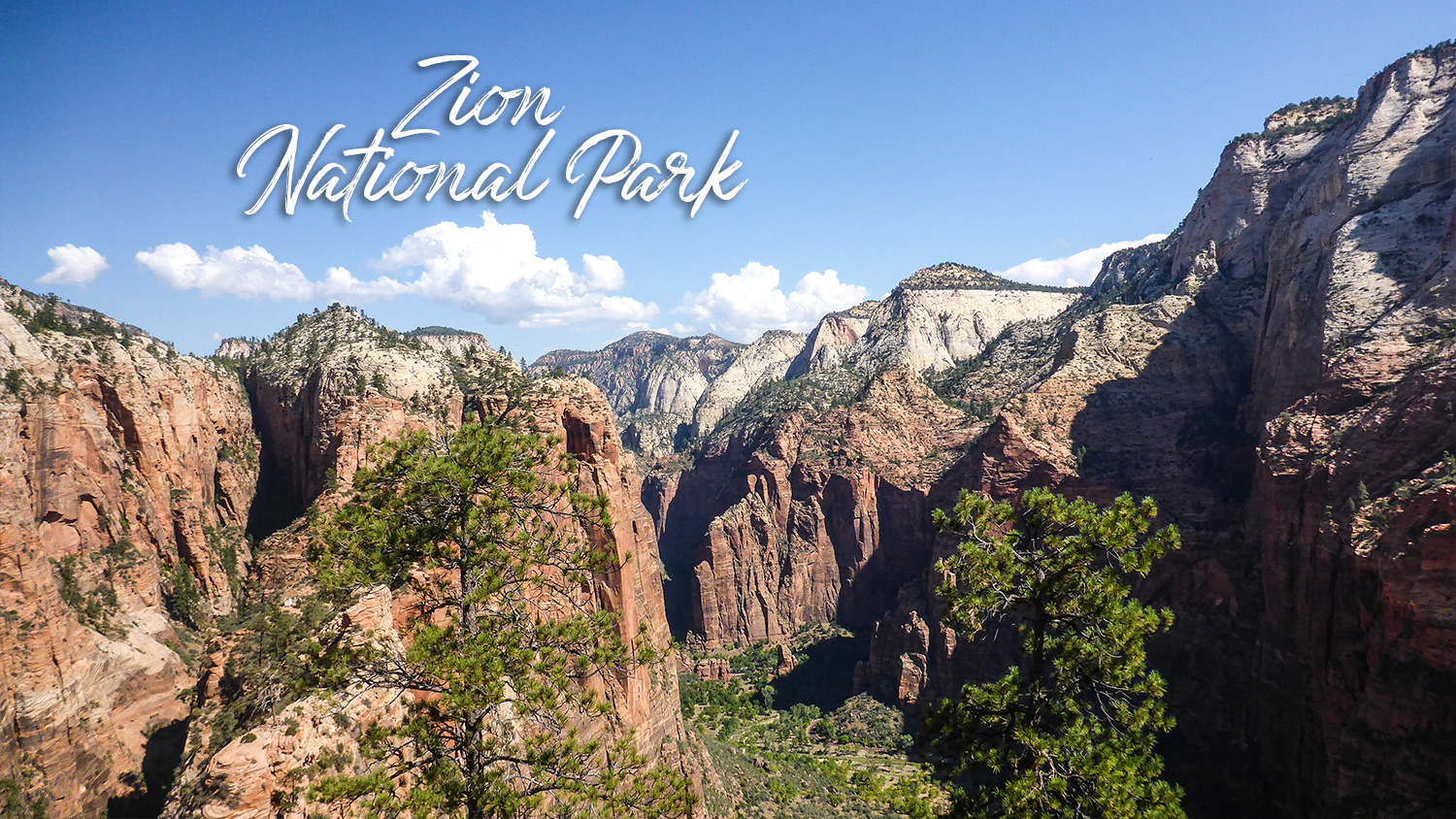 Découvrir Zion National Park pour faire la randonnée de l'Angles Landing Trail lors d'un road trip aux USA.